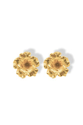 Aretes de Petunia