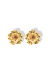 Aretes de Petunia