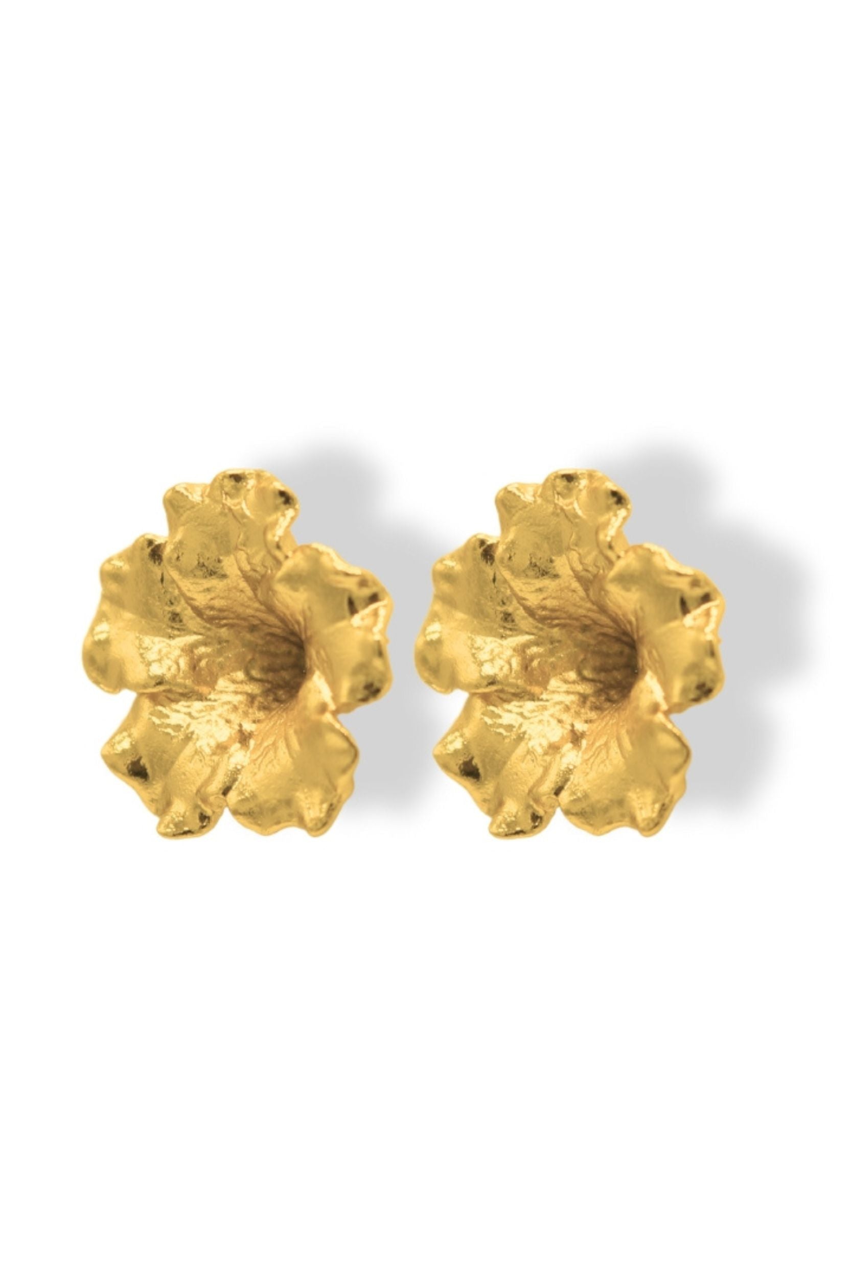 Aretes de Petunia