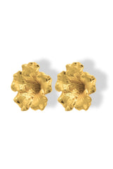 Aretes de Petunia