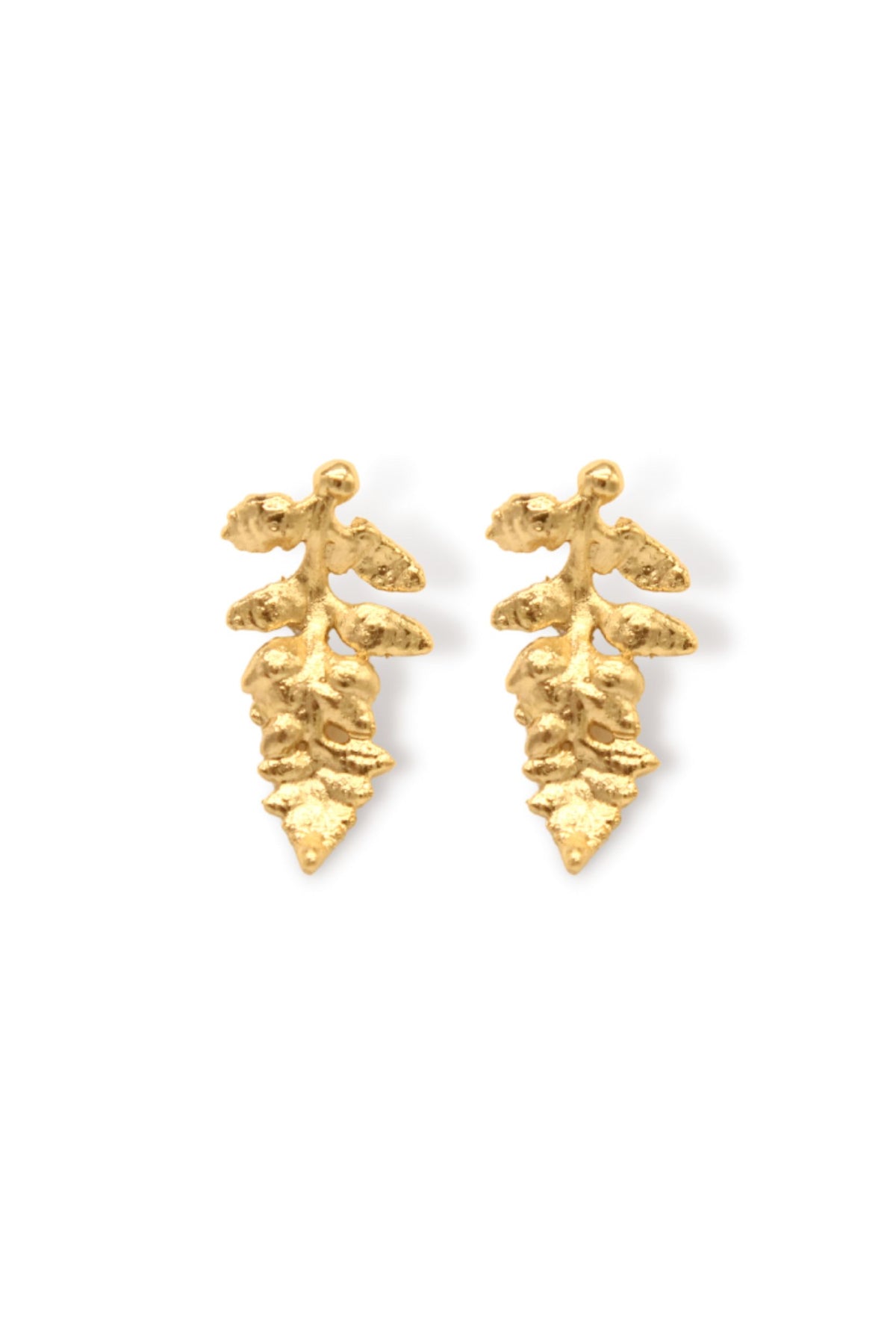 Aretes de helecho / naturaleza Brezo