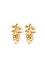 Aretes de helecho / naturaleza Brezo