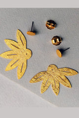 Aretas Doradas Multipropósito - Clusia Multiflora
